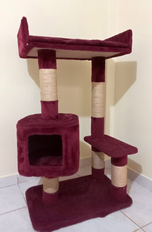 Rascador y casa para gatos